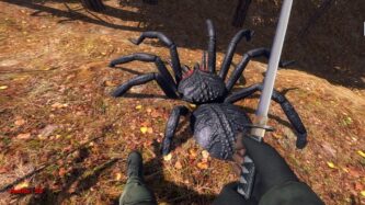 Forest spiders Free Download By Steam-repacks.com